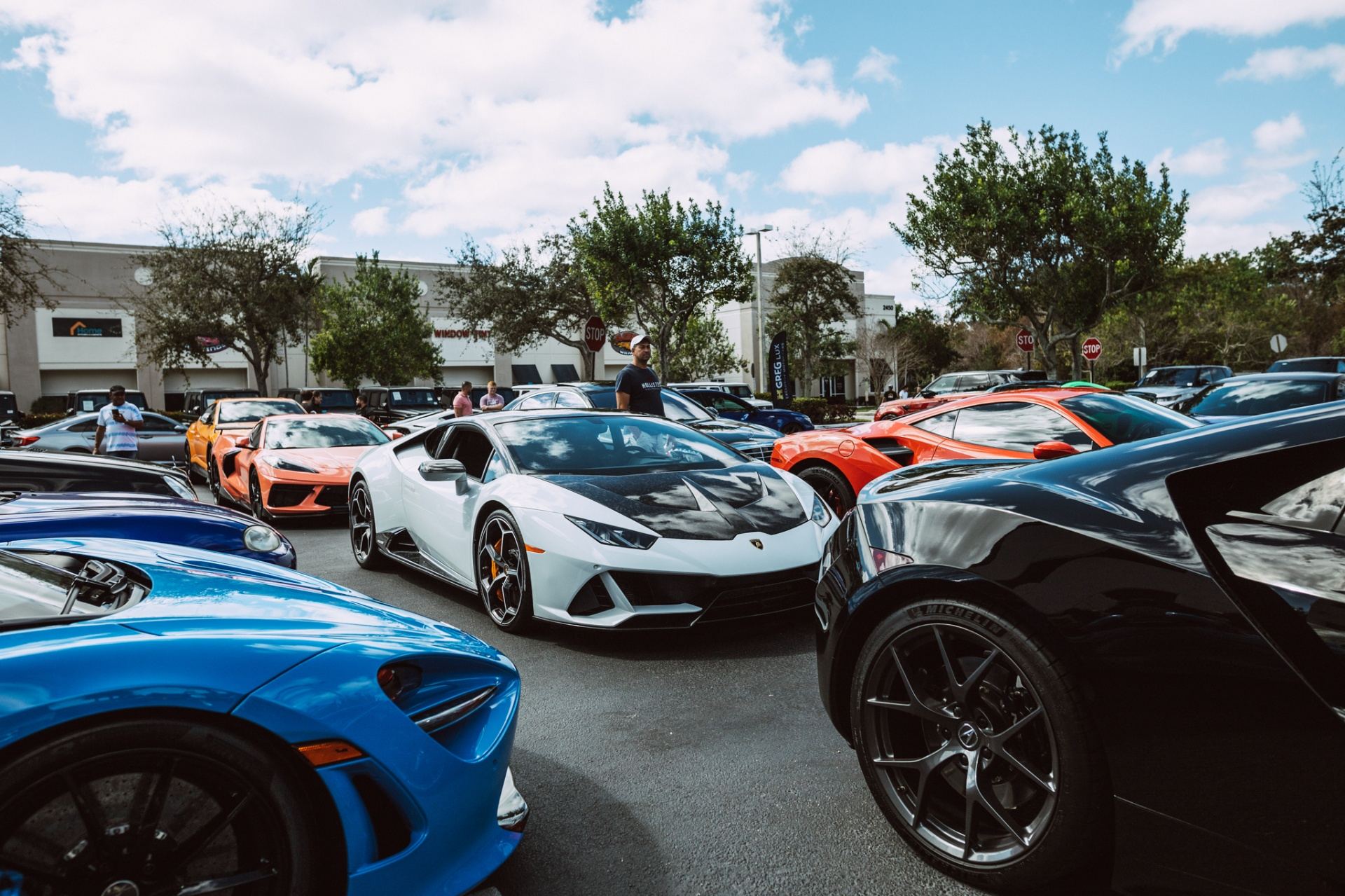 Exotic lineup — HGreg Lux meet