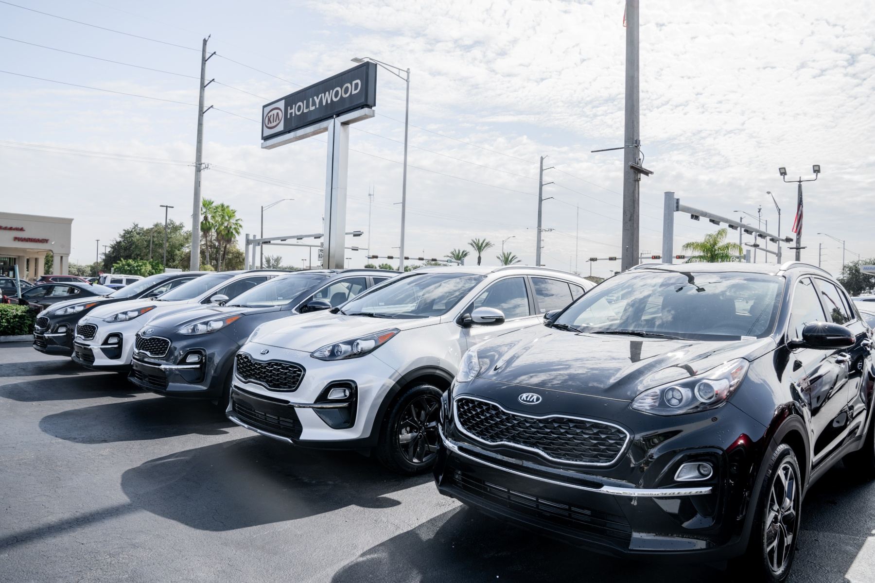 Hollywood Kia — front lot lineup