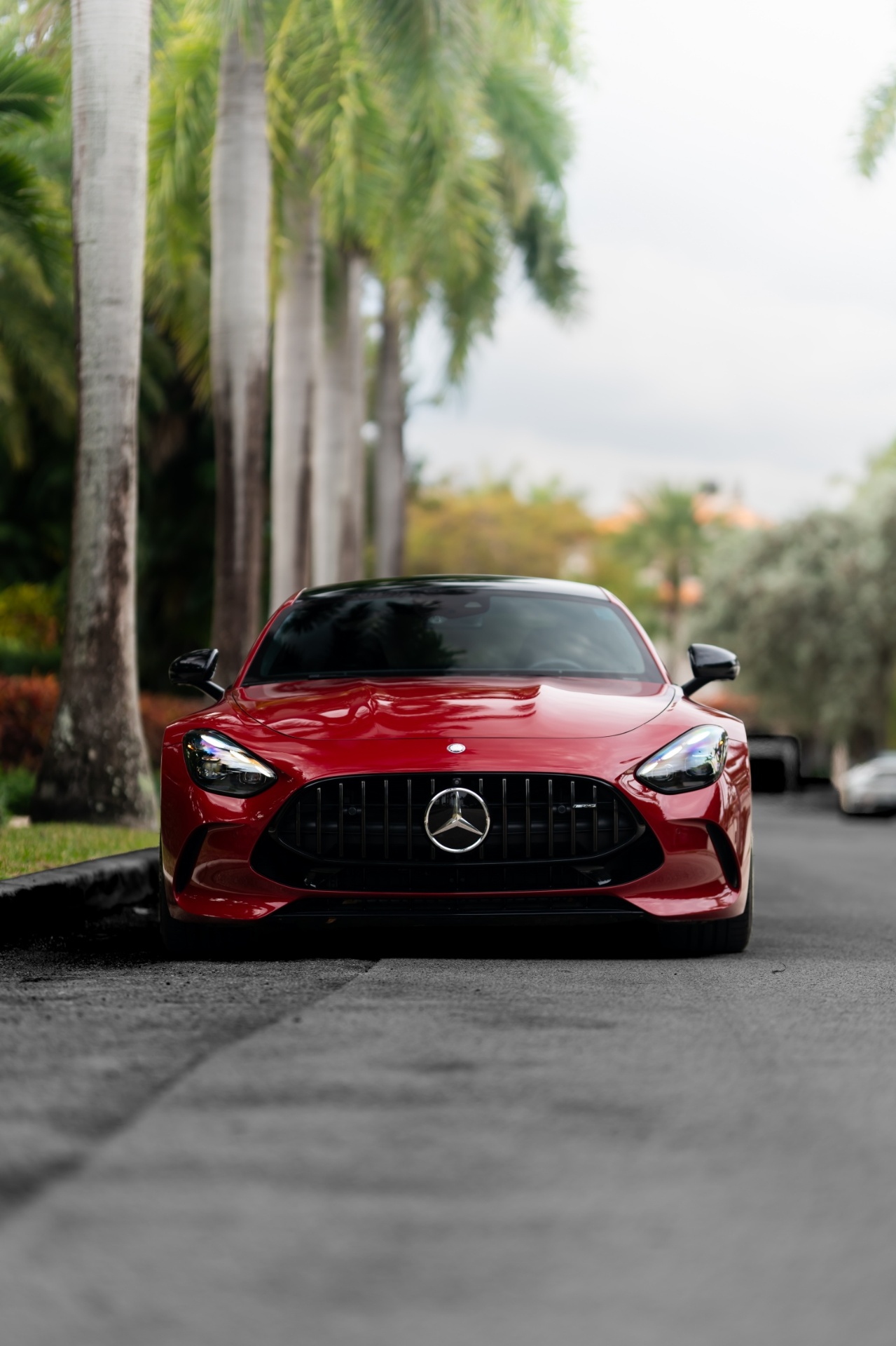 Red Mercedes-AMG GT under Miami palms