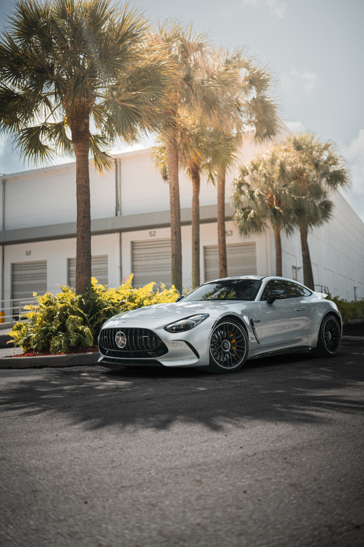 Mercedes-AMG GT under Miami palm trees